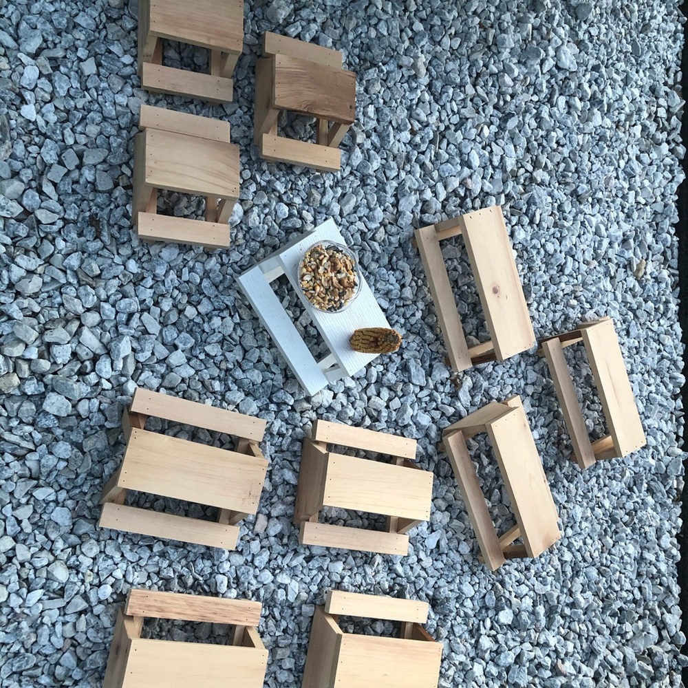 🐿 Squirrel Tables 🐿 - Picture 2 of 5